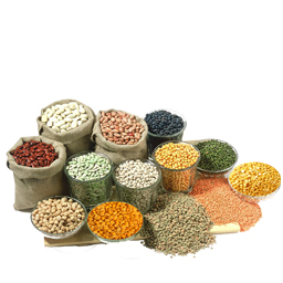 PULSES