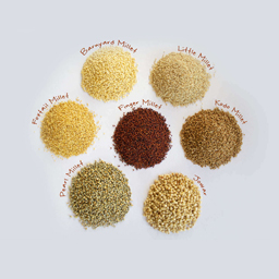 MILLETS