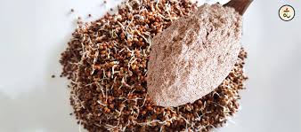 sprouted Ragi Flour