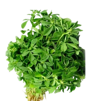 Methi Leaves