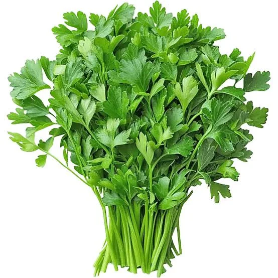 Coriander Leaves